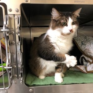 Meet your Posher, Linda